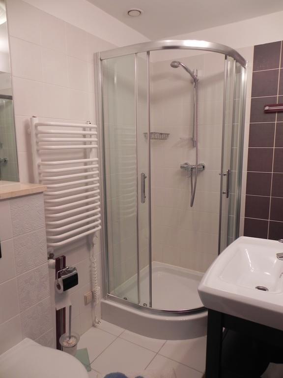 Apartament Brandy Radowid Zakopane Cameră foto
